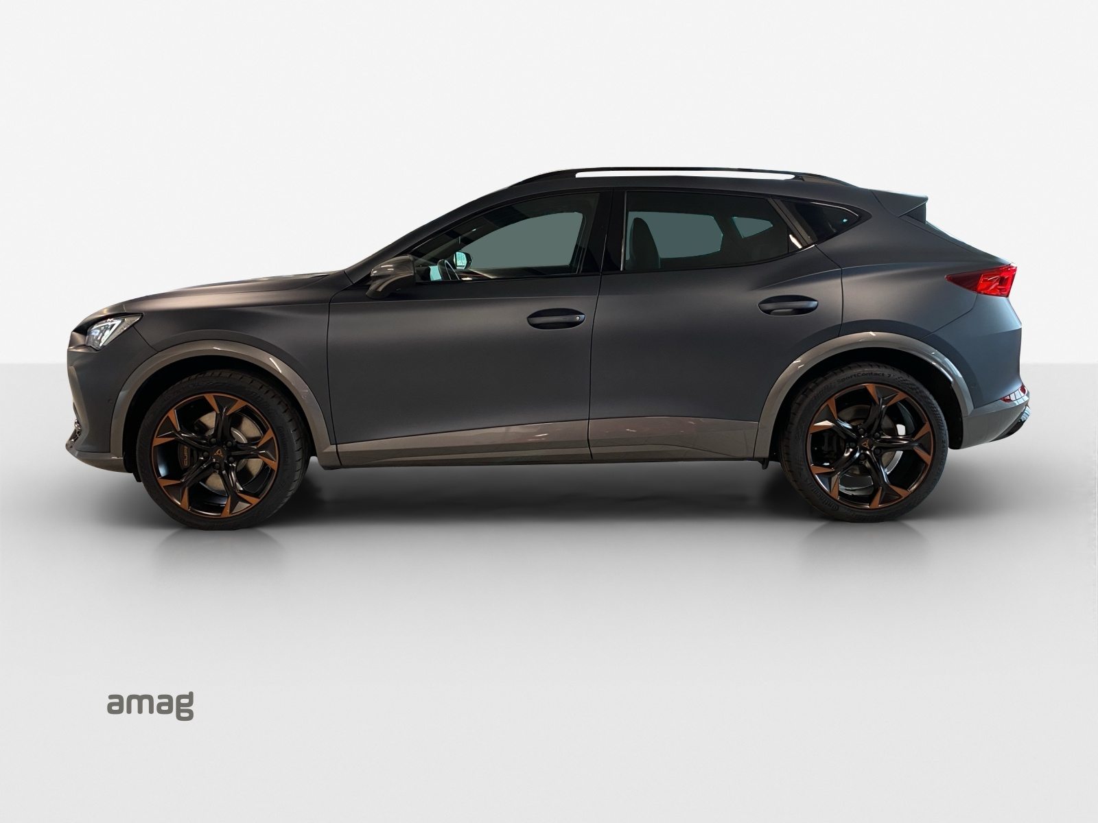 CUPRA FORMENTOR 4DRIVE, Benzina, Occasioni / Usate, Automatico - 2