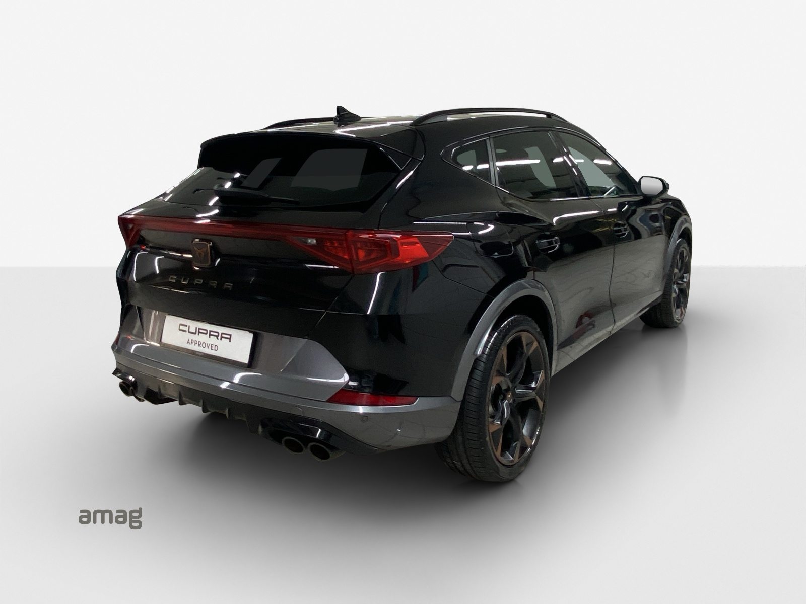 CUPRA FORMENTOR 4DRIVE, Benzina, Occasioni / Usate, Automatico - 5