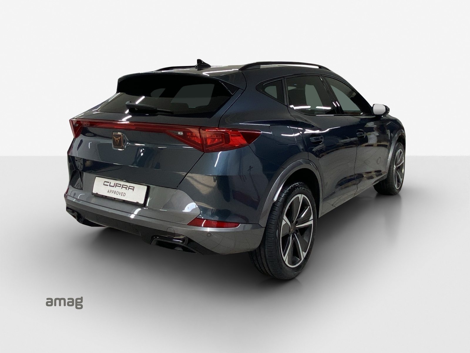 CUPRA FORMENTOR INICIO 4DRIVE (netto), Petrol, Second hand / Used, Automatic - 5