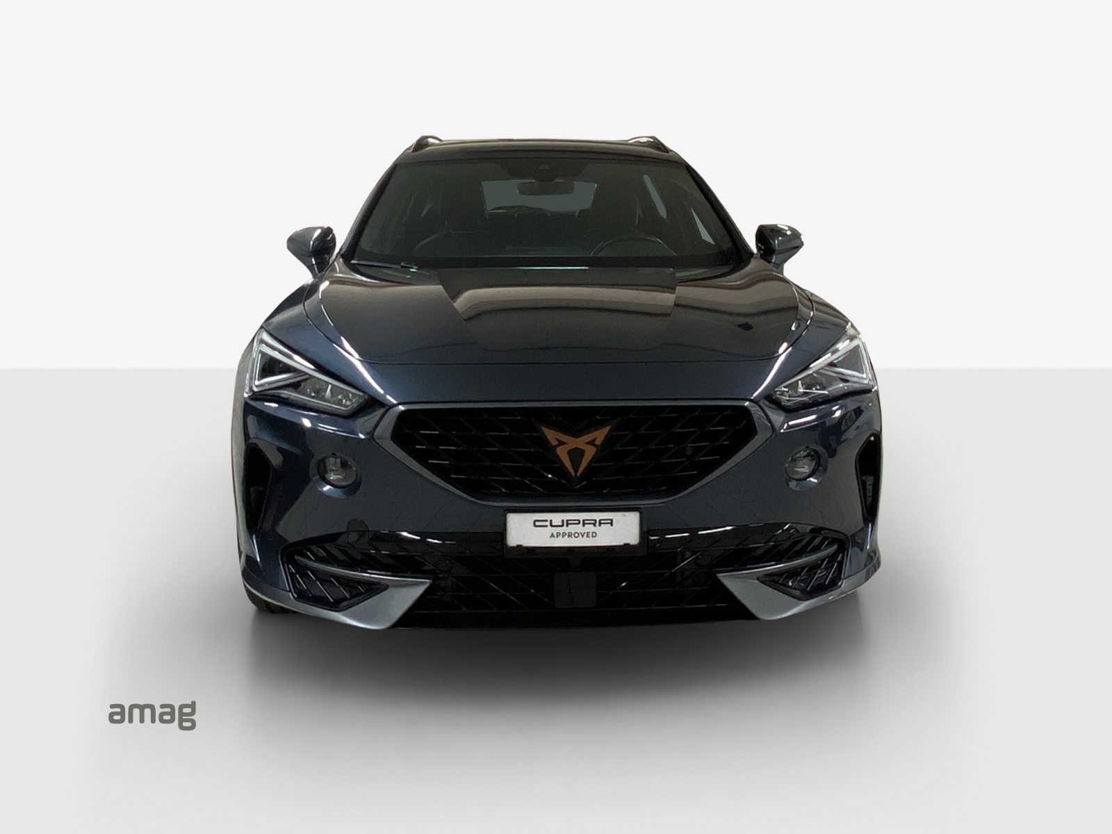 CUPRA FORMENTOR INICIO 4DRIVE (netto), Petrol, Second hand / Used, Automatic - 7