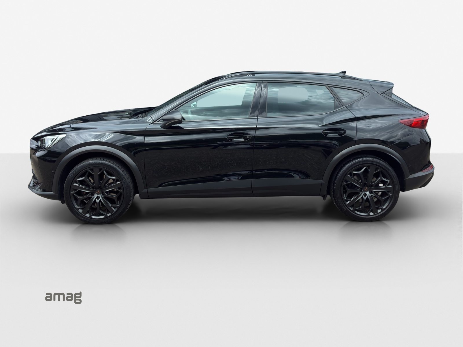 CUPRA FORMENTOR 2.0 TSI 245PS TRIBE EDITION (netto), Benzina, Occasioni / Usate, Automatico - 2