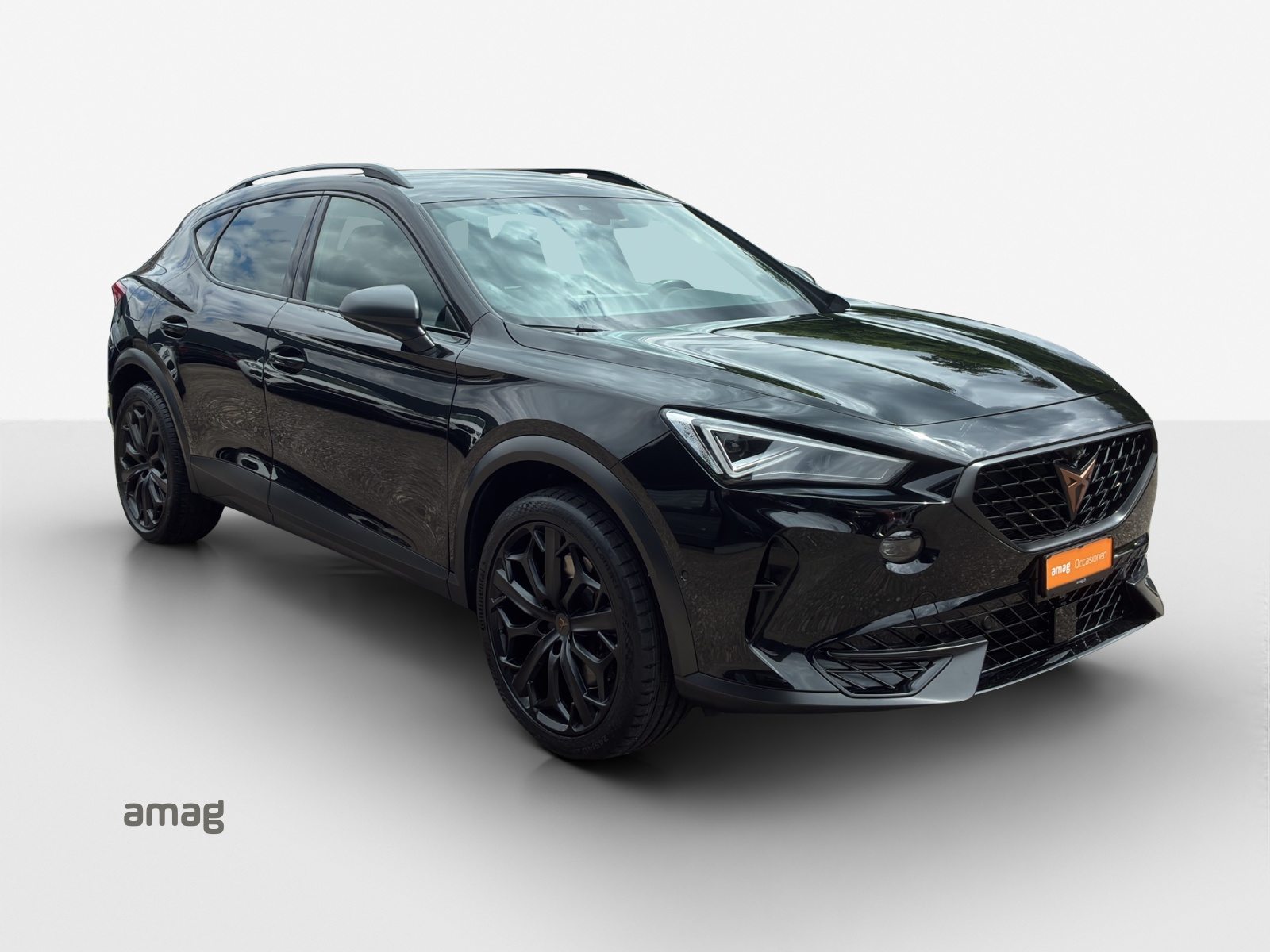 CUPRA FORMENTOR 2.0 TSI 245PS TRIBE EDITION (netto), Benzina, Occasioni / Usate, Automatico - 6
