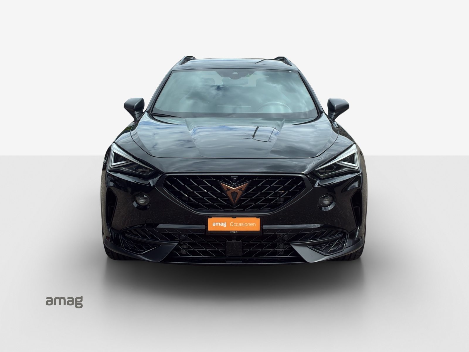 CUPRA FORMENTOR 2.0 TSI 245PS TRIBE EDITION (netto), Benzina, Occasioni / Usate, Automatico - 7