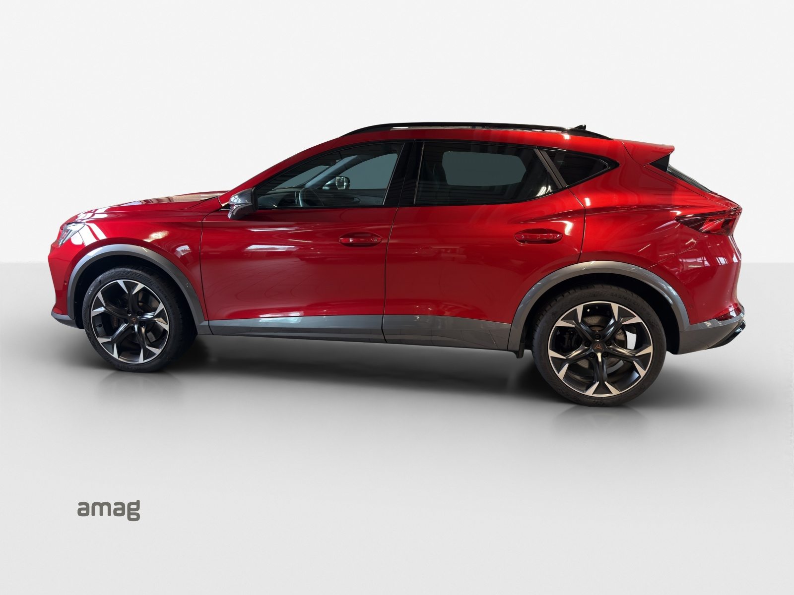 CUPRA FORMENTOR 4DRIVE, Benzin, Occasion / Gebraucht, Automatik - 2