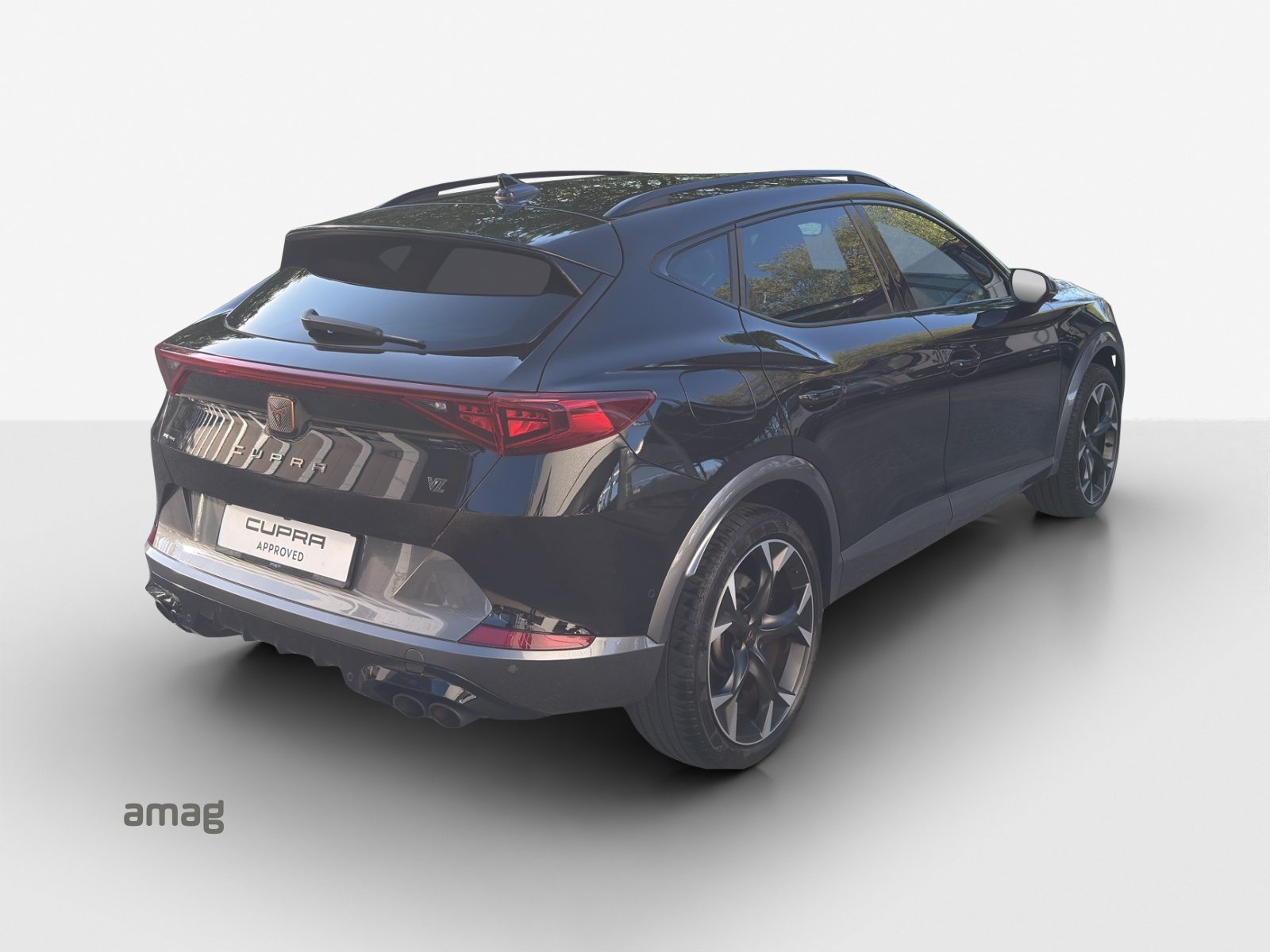 CUPRA FORMENTOR 4DRIVE, Benzina, Occasioni / Usate, Automatico - 5