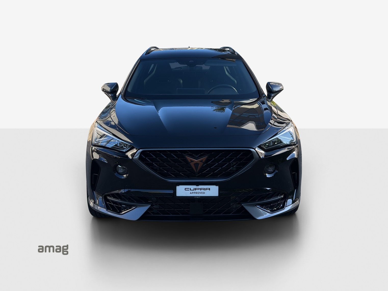 CUPRA FORMENTOR 4DRIVE, Benzina, Occasioni / Usate, Automatico - 7