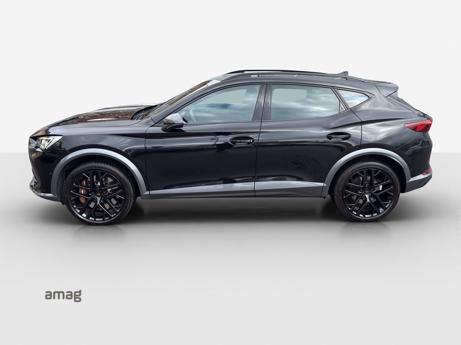 CUPRA FORMENTOR 4DRIVE, Benzina, Occasioni / Usate, Automatico - 2