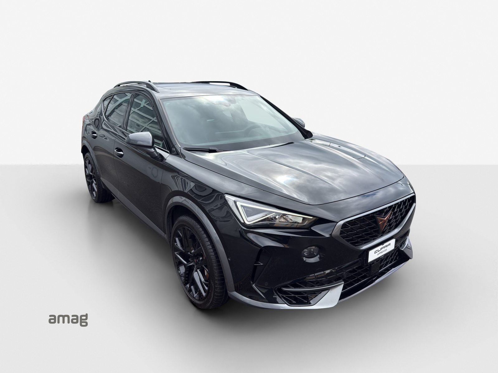 CUPRA FORMENTOR 4DRIVE, Benzina, Occasioni / Usate, Automatico - 6