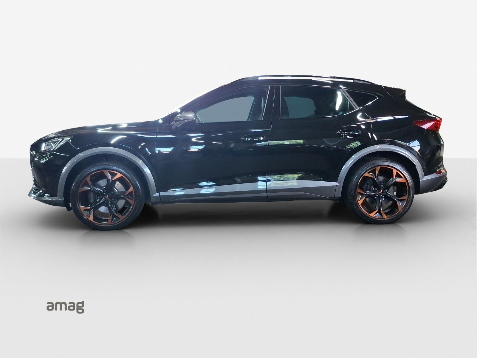CUPRA FORMENTOR 4DRIVE, Benzina, Occasioni / Usate, Automatico - 2