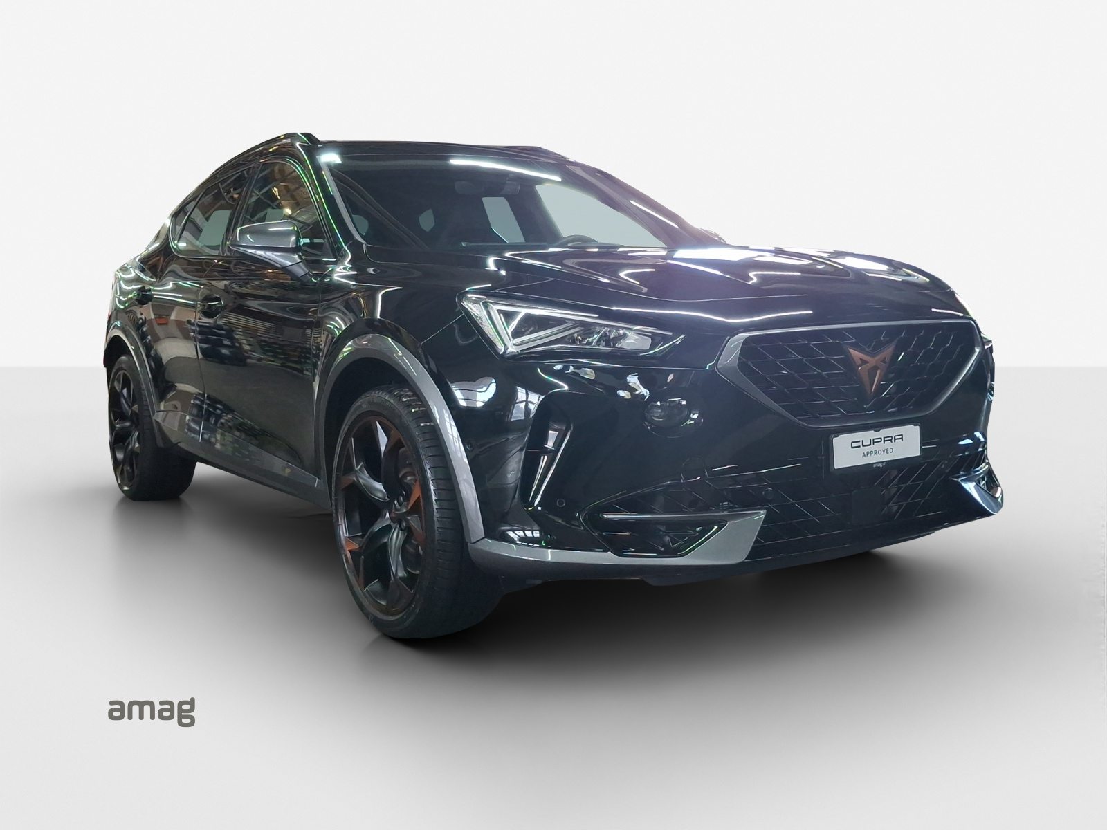 CUPRA FORMENTOR 4DRIVE, Benzina, Occasioni / Usate, Automatico - 6
