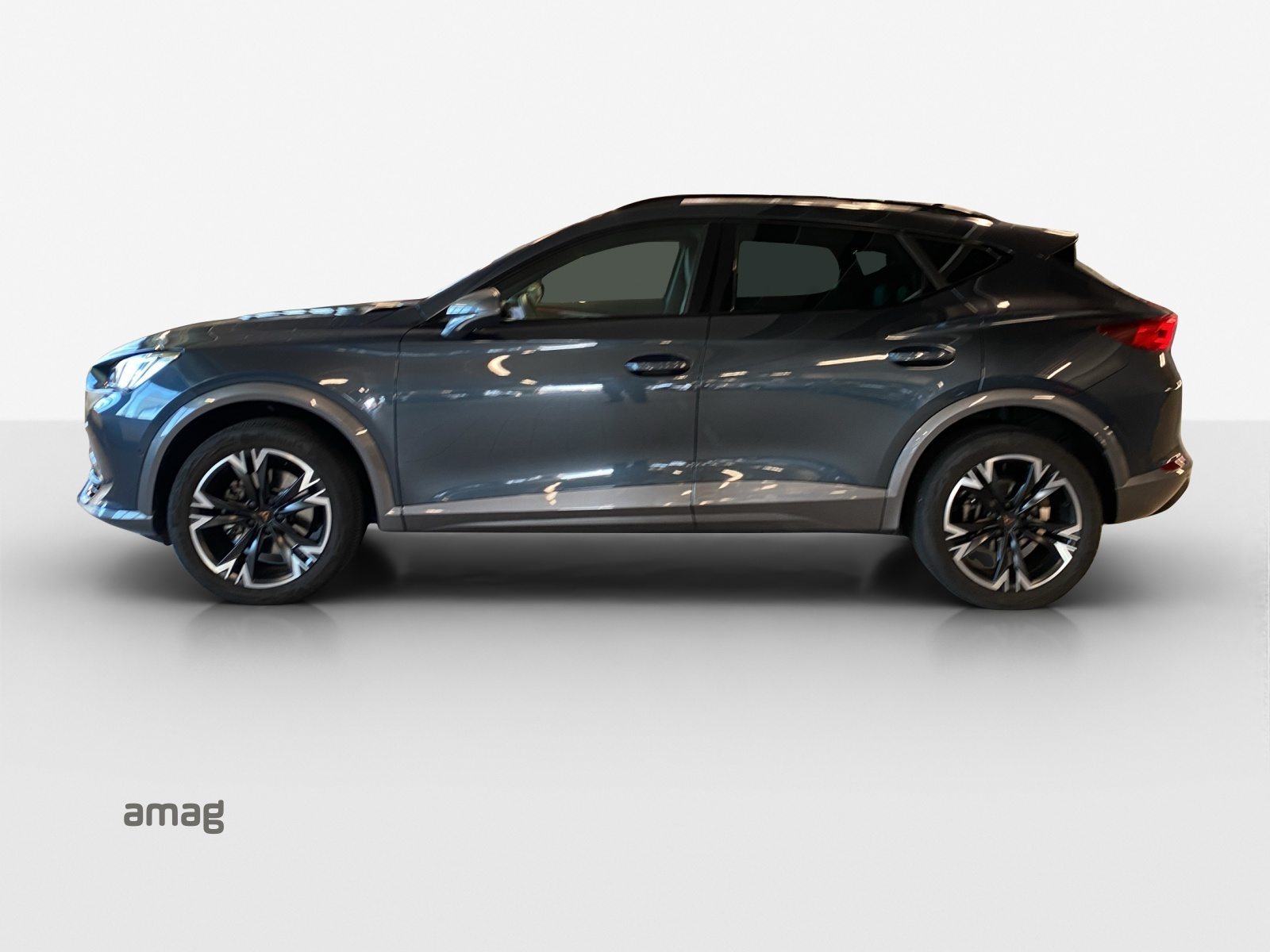 CUPRA FORMENTOR 4DRIVE, Benzina, Occasioni / Usate, Automatico - 2