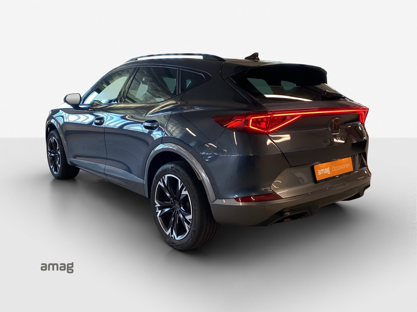 CUPRA FORMENTOR 4DRIVE, Benzina, Occasioni / Usate, Automatico - 3