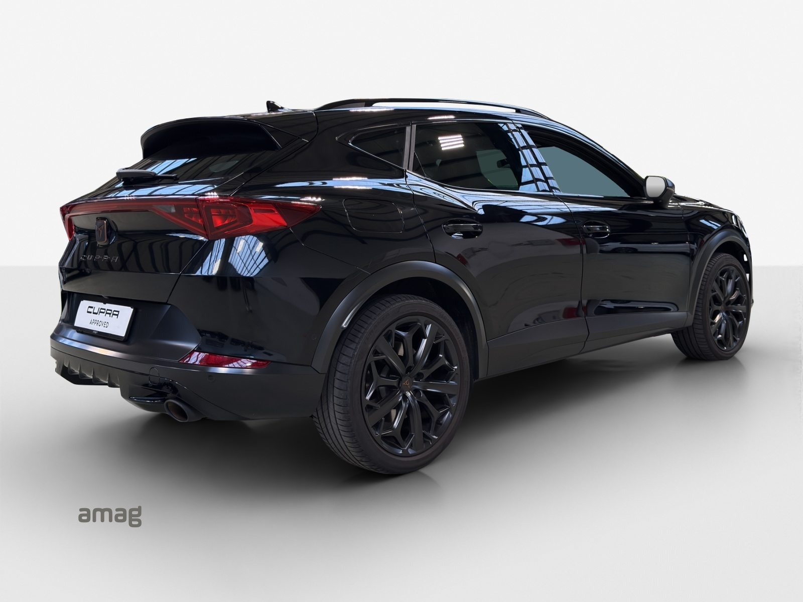CUPRA FORMENTOR 2.0 TSI 245PS TRIBE EDITION (netto), Benzina, Occasioni / Usate, Automatico - 5