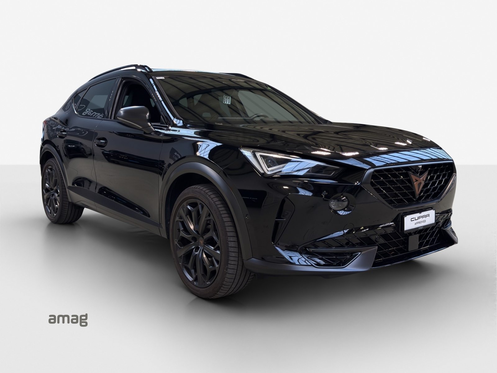 CUPRA FORMENTOR 2.0 TSI 245PS TRIBE EDITION (netto), Benzina, Occasioni / Usate, Automatico - 6