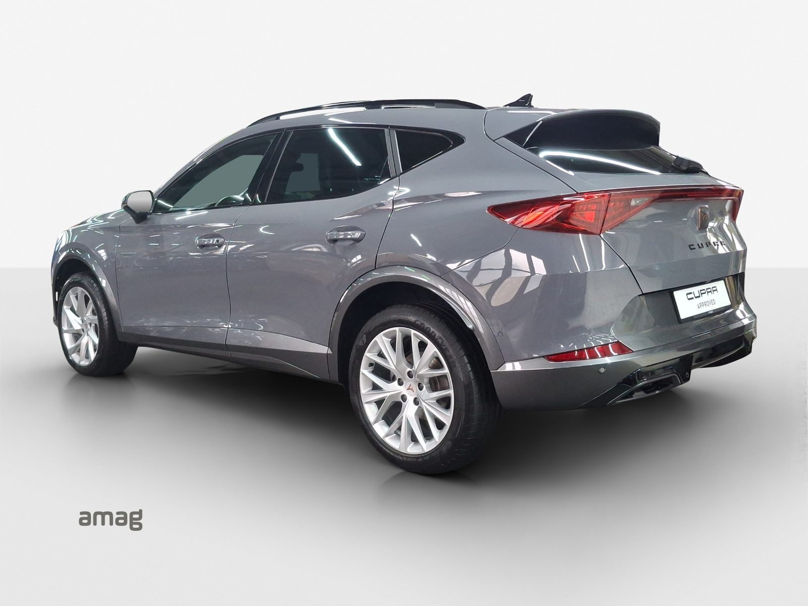 CUPRA FORMENTOR INICIO 4DRIVE (netto), Petrol, Second hand / Used, Automatic - 3