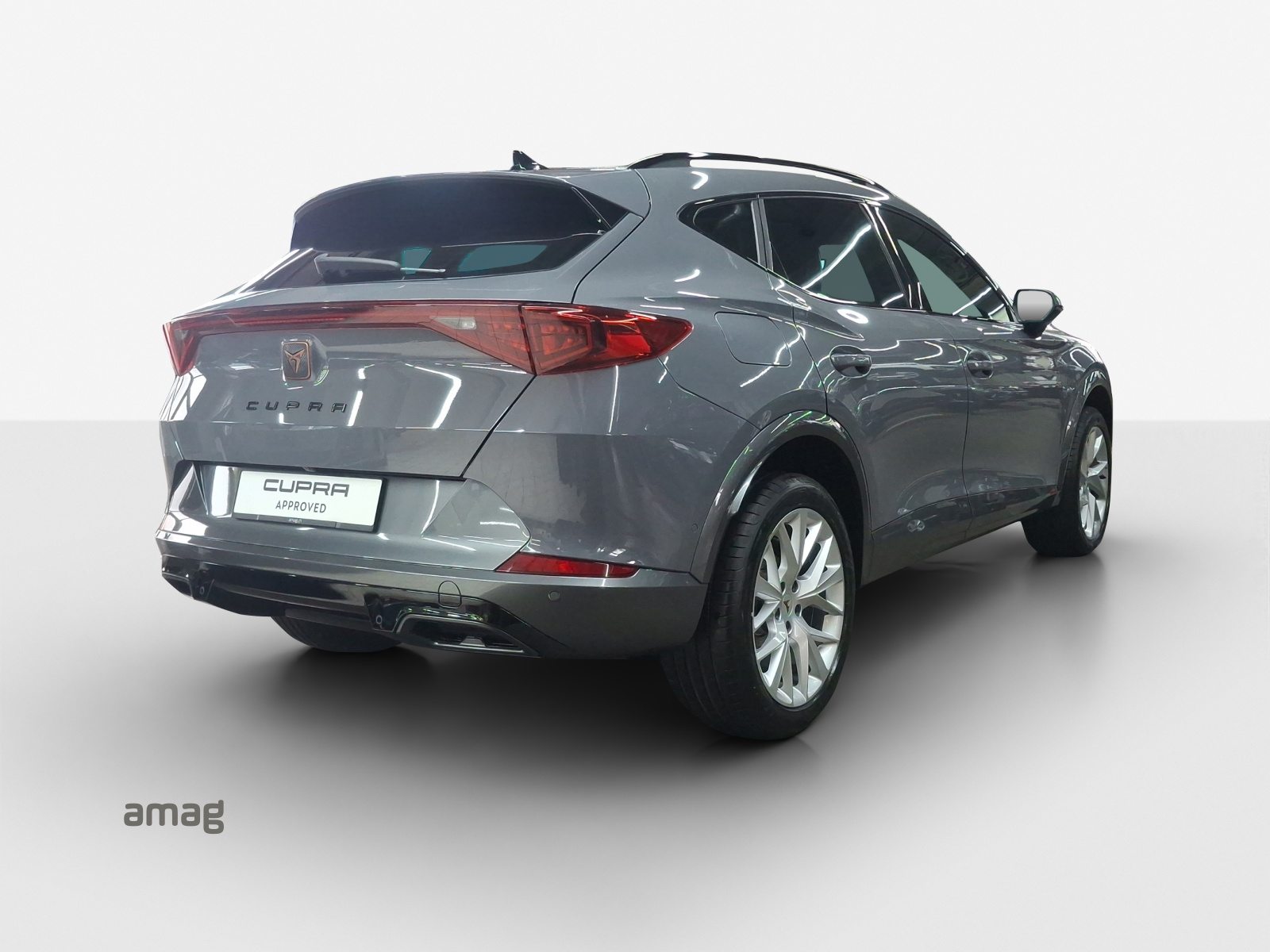 CUPRA FORMENTOR INICIO 4DRIVE (netto), Petrol, Second hand / Used, Automatic - 5