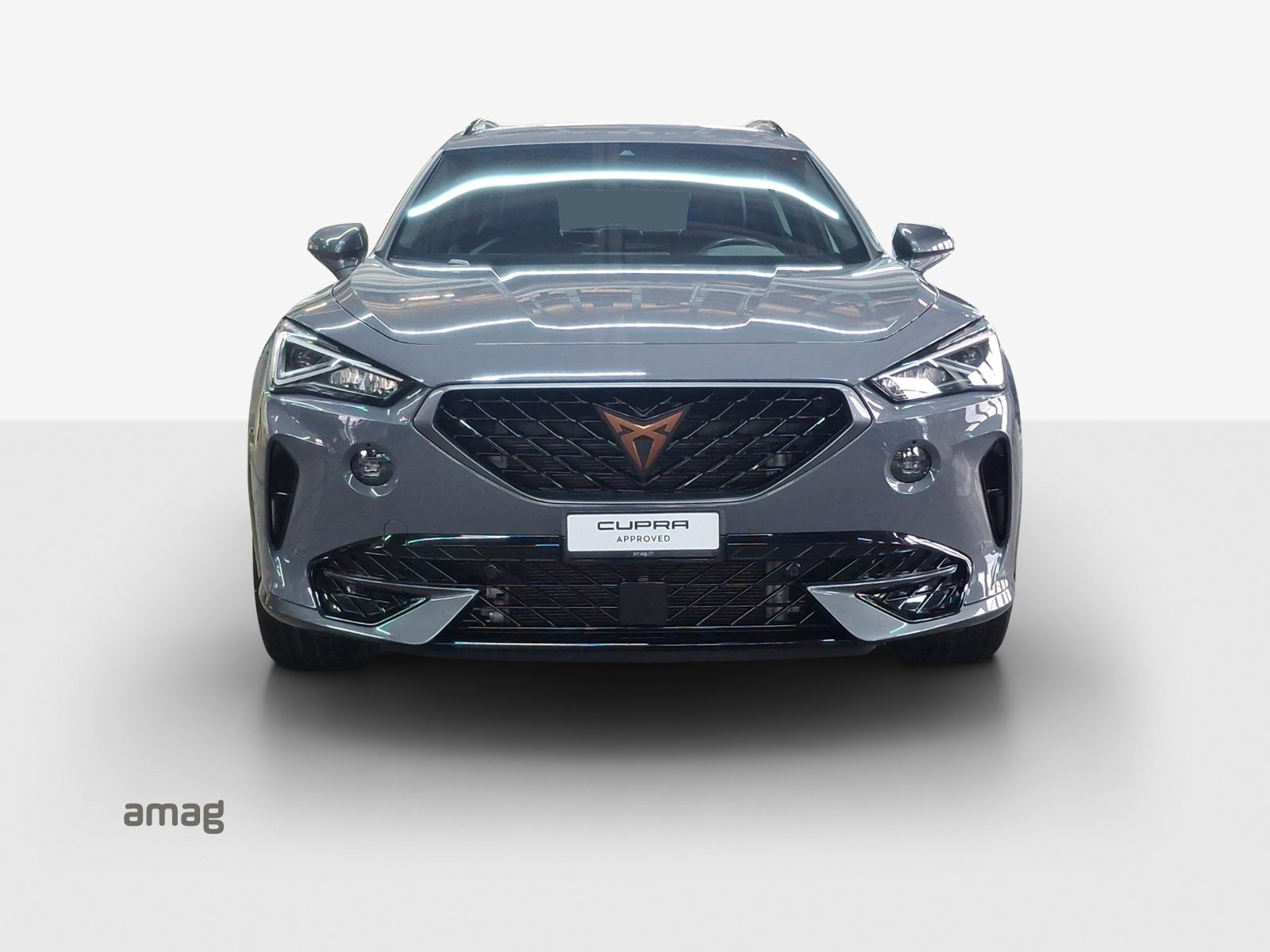 CUPRA FORMENTOR INICIO 4DRIVE (netto), Petrol, Second hand / Used, Automatic - 7