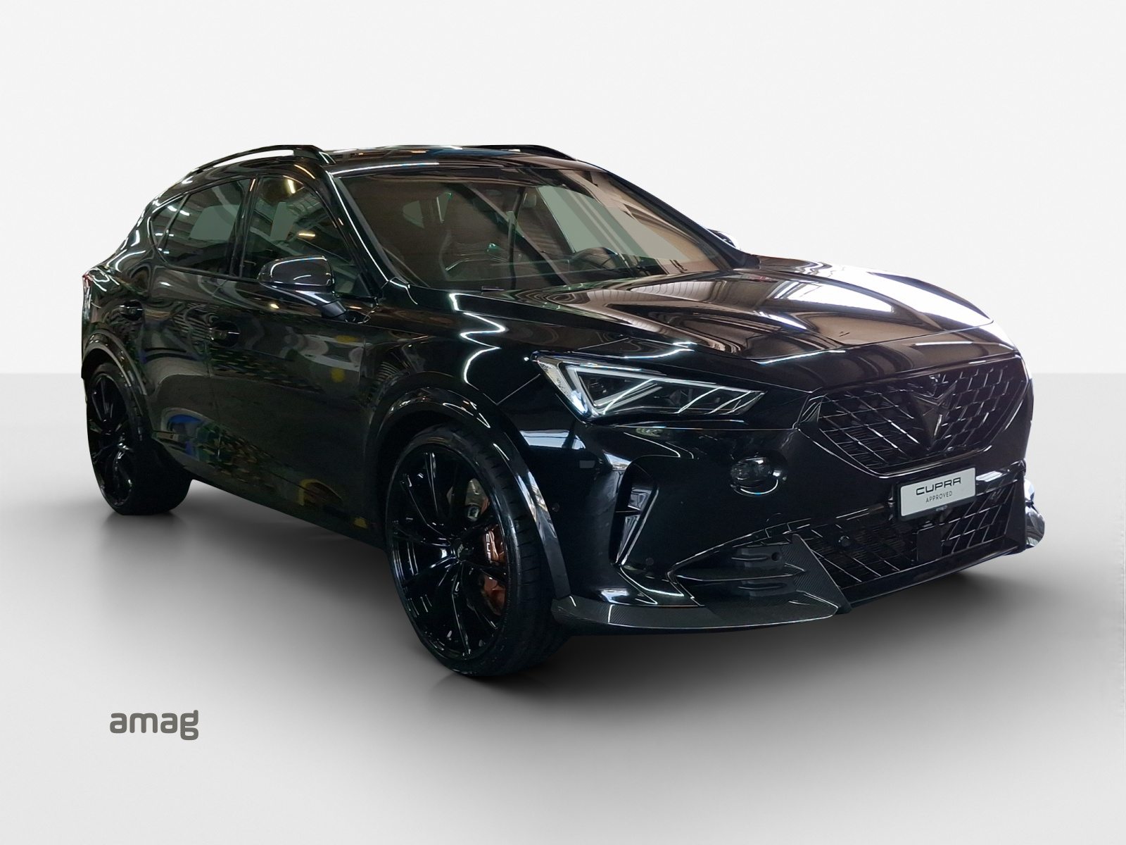 CUPRA FORMENTOR VZ5 BAT 450PS 4DRIVE, Benzin, Occasion / Gebraucht, Automatik - 7