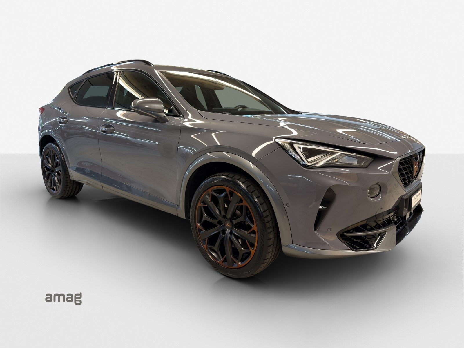 CUPRA FORMENTOR 4DRIVE, Benzina, Occasioni / Usate, Automatico - 6