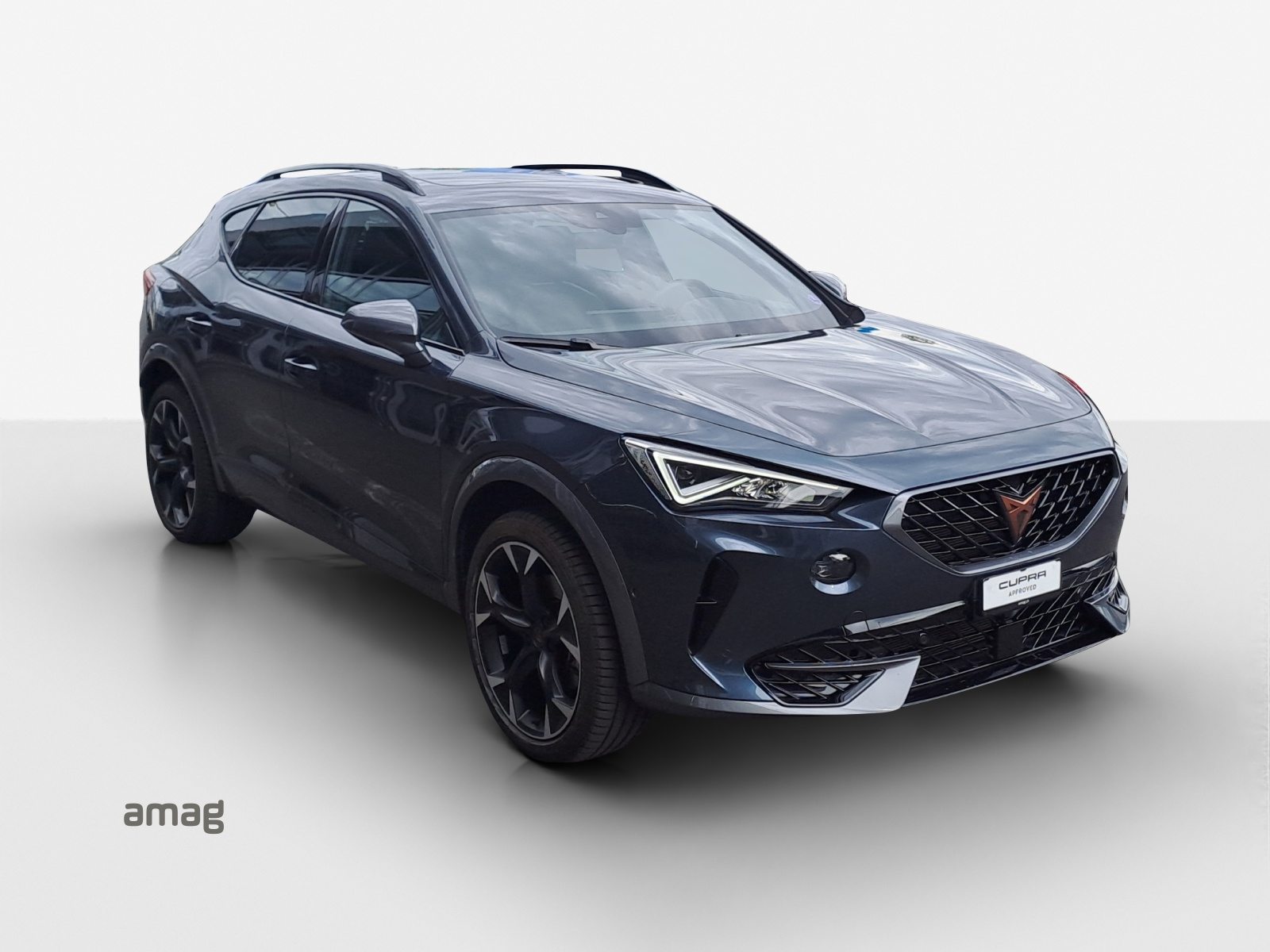 CUPRA FORMENTOR INICIO 150PS (netto), Essence, Occasion / Utilisé, Automatique - 6