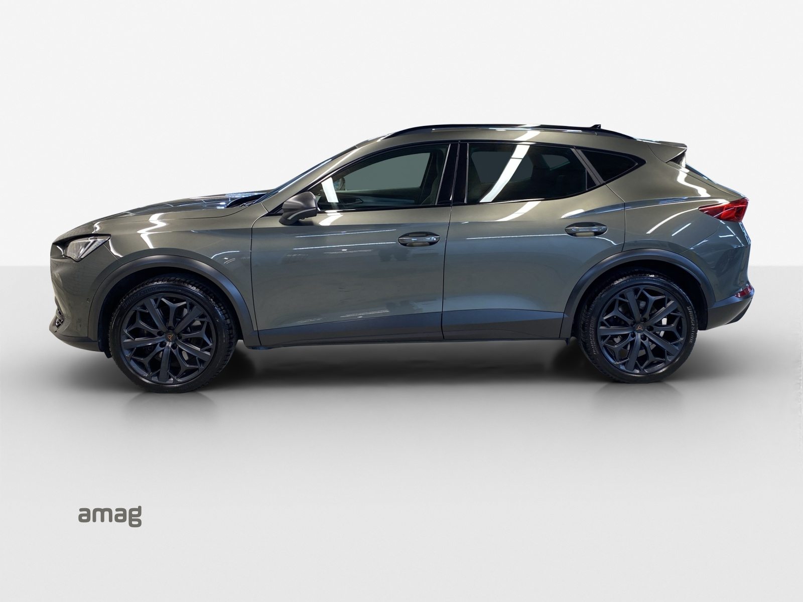 CUPRA FORMENTOR 2.0 TSI 245PS TRIBE EDITION (netto), Essence, Occasion / Utilisé, Automatique - 2