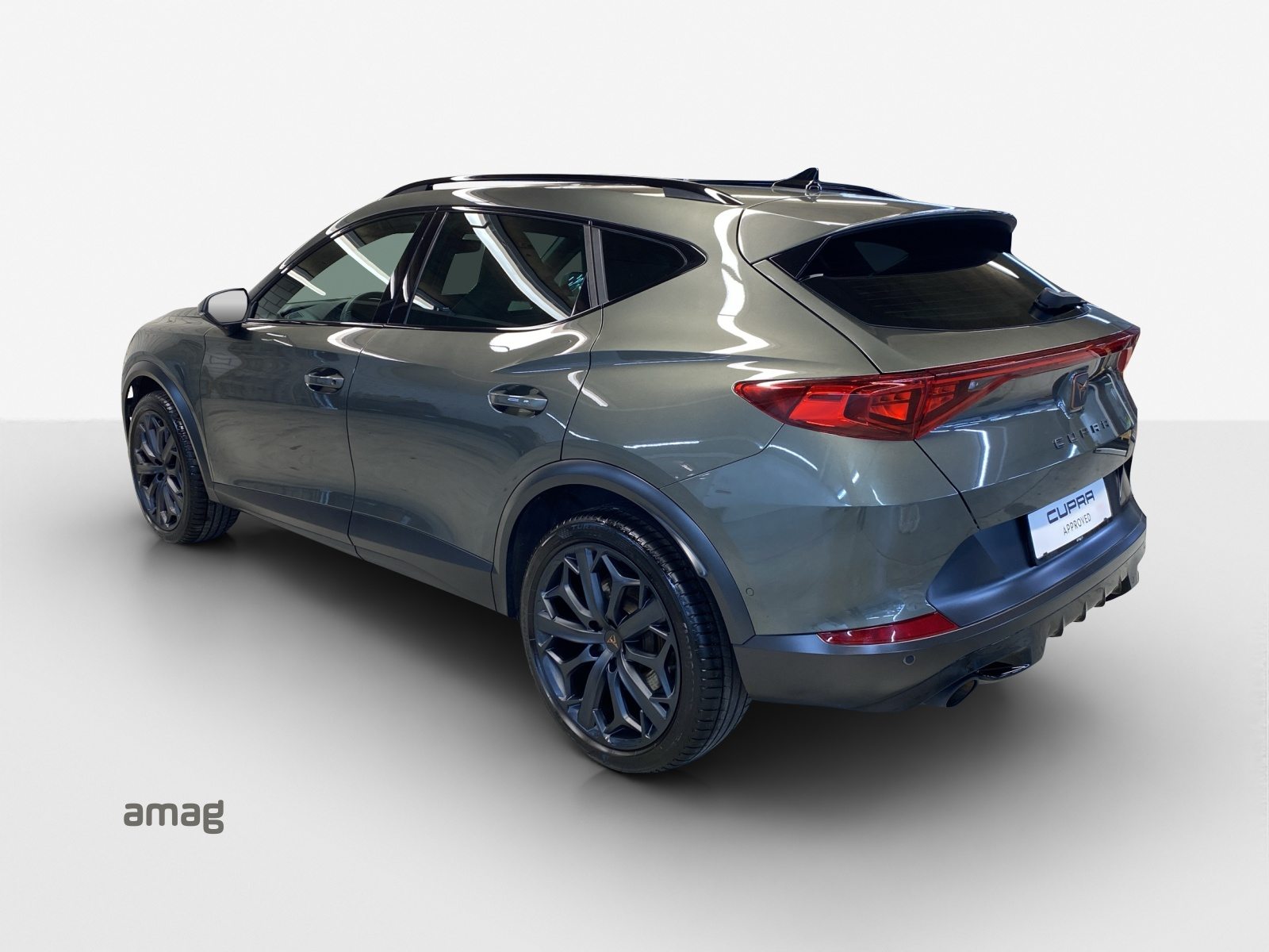 CUPRA FORMENTOR 2.0 TSI 245PS TRIBE EDITION (netto), Essence, Occasion / Utilisé, Automatique - 3
