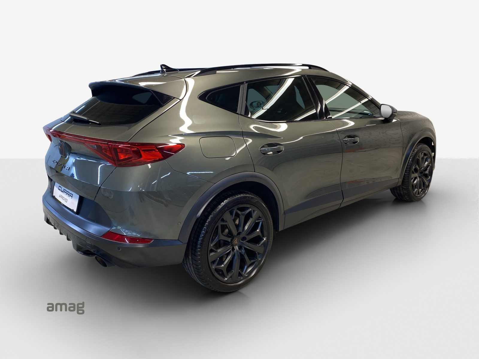 CUPRA FORMENTOR 2.0 TSI 245PS TRIBE EDITION (netto), Essence, Occasion / Utilisé, Automatique - 5
