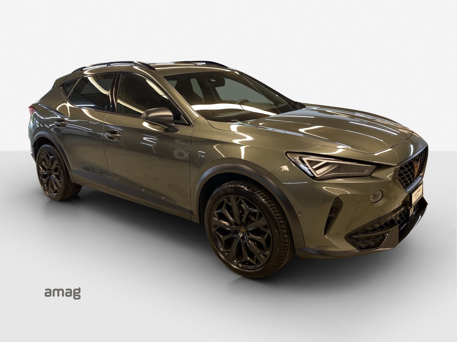 CUPRA FORMENTOR 2.0 TSI 245PS TRIBE EDITION (netto), Essence, Occasion / Utilisé, Automatique - 6