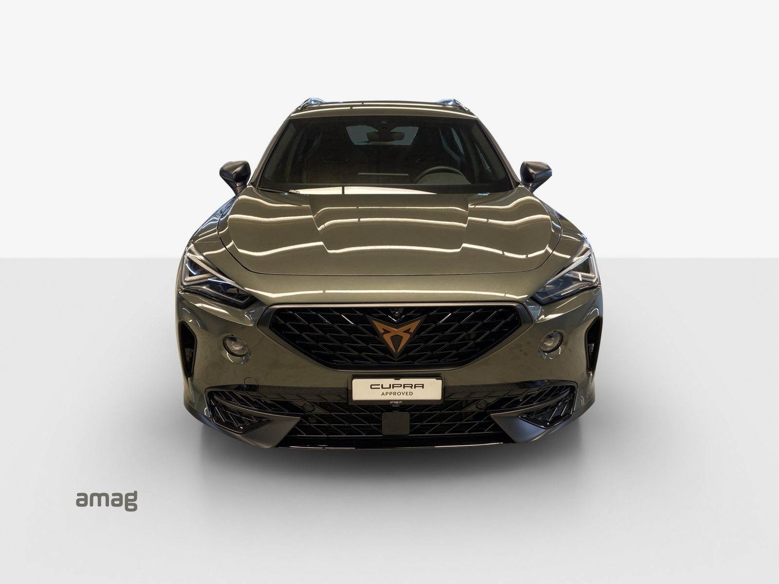 CUPRA FORMENTOR 2.0 TSI 245PS TRIBE EDITION (netto), Essence, Occasion / Utilisé, Automatique - 7
