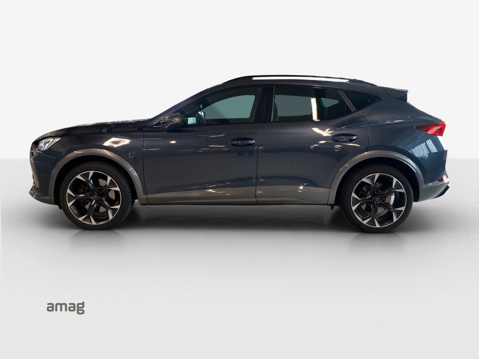 CUPRA FORMENTOR 4DRIVE, Benzina, Occasioni / Usate, Automatico - 2