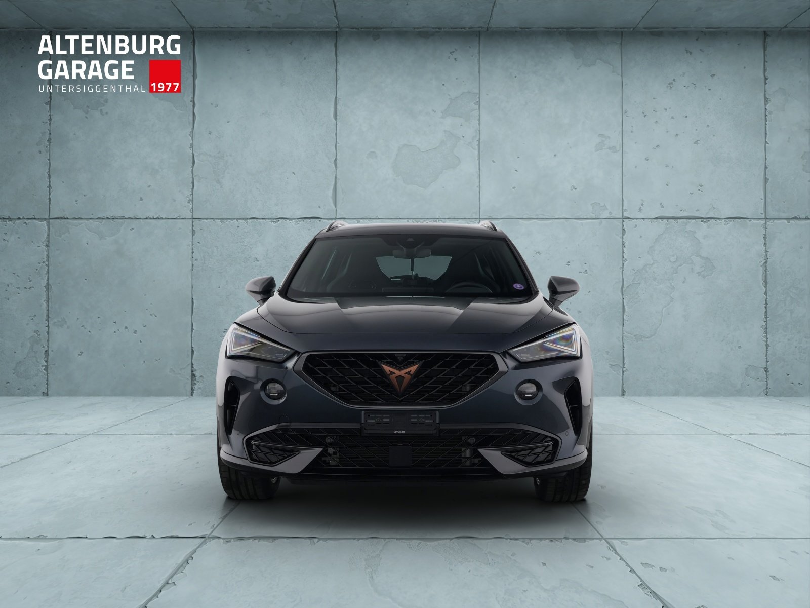 CUPRA Formentor 1.5 TSI Inicio DSG, Benzina, Occasioni / Usate, Automatico - 6