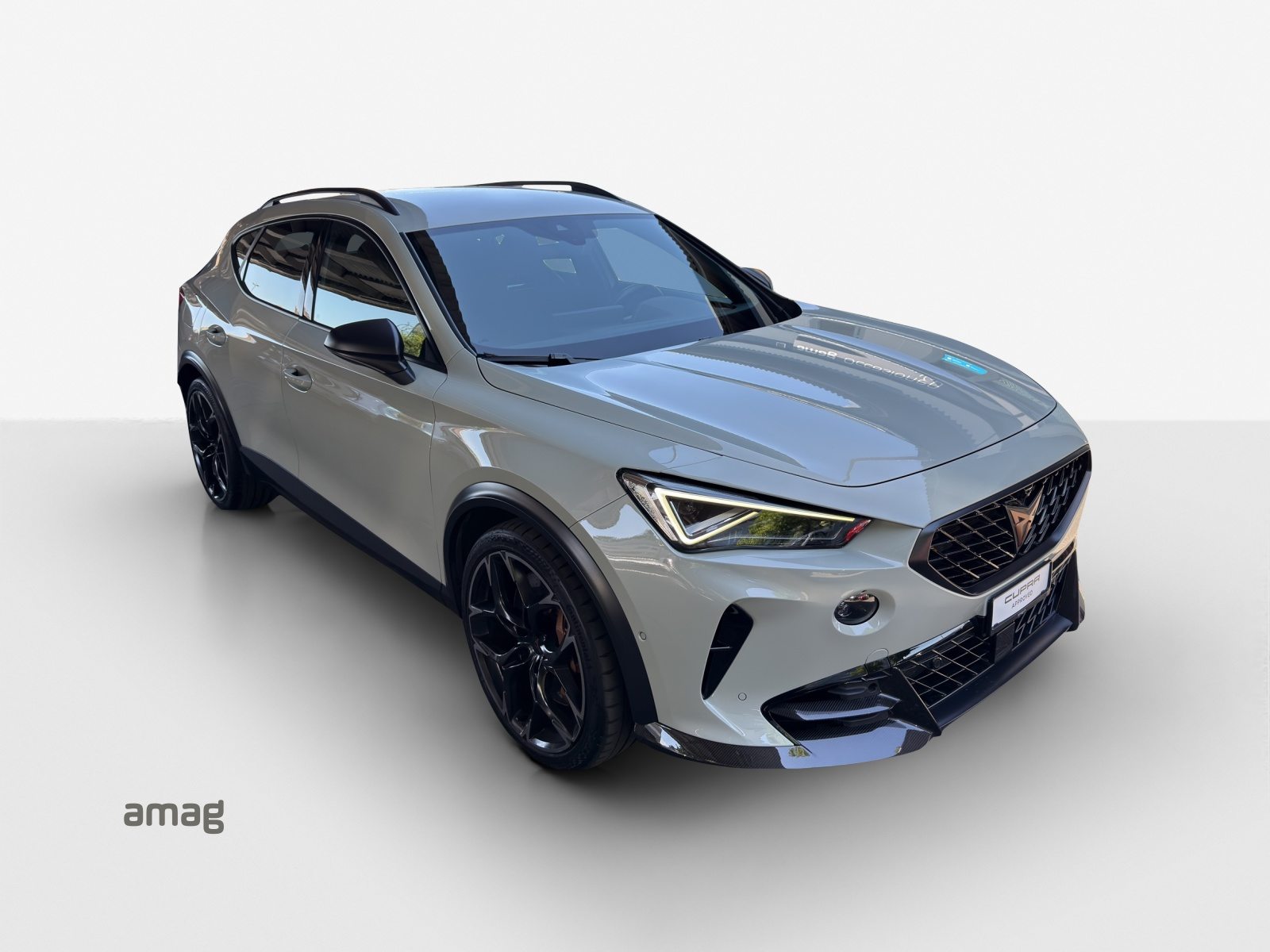 CUPRA FORMENTOR VZ5 4DRIVE, Essence, Occasion / Utilisé, Automatique - 6