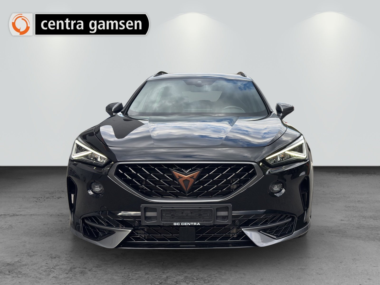 CUPRA Formentor 2.0TSI VZ 4Drive DSG, Essence, Occasion / Utilisé, Automatique - 2