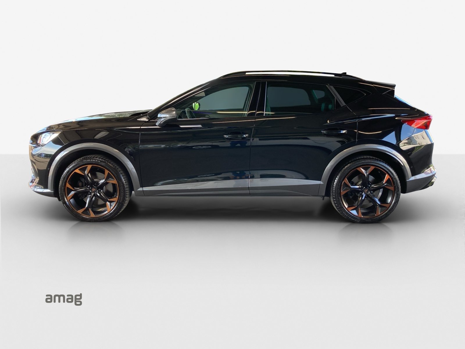 CUPRA FORMENTOR 4DRIVE, Benzina, Occasioni / Usate, Automatico - 2