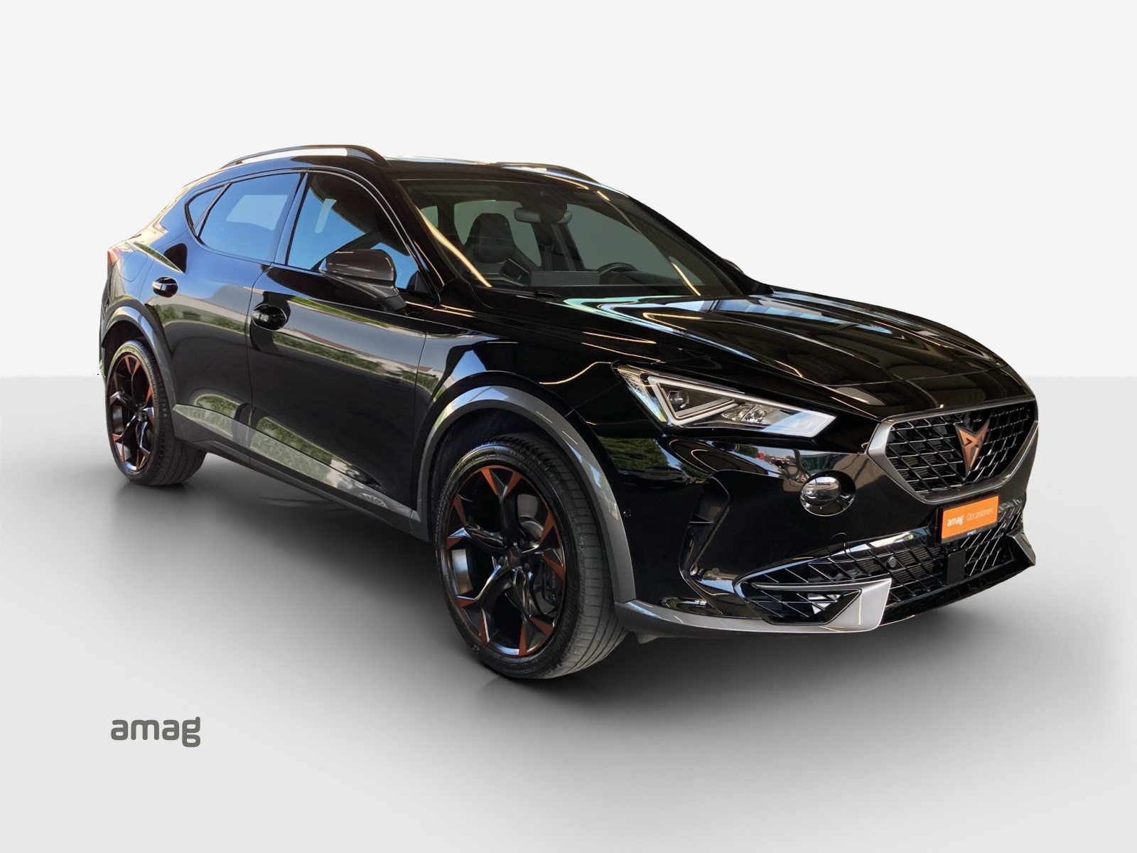 CUPRA FORMENTOR 4DRIVE, Benzina, Occasioni / Usate, Automatico - 6