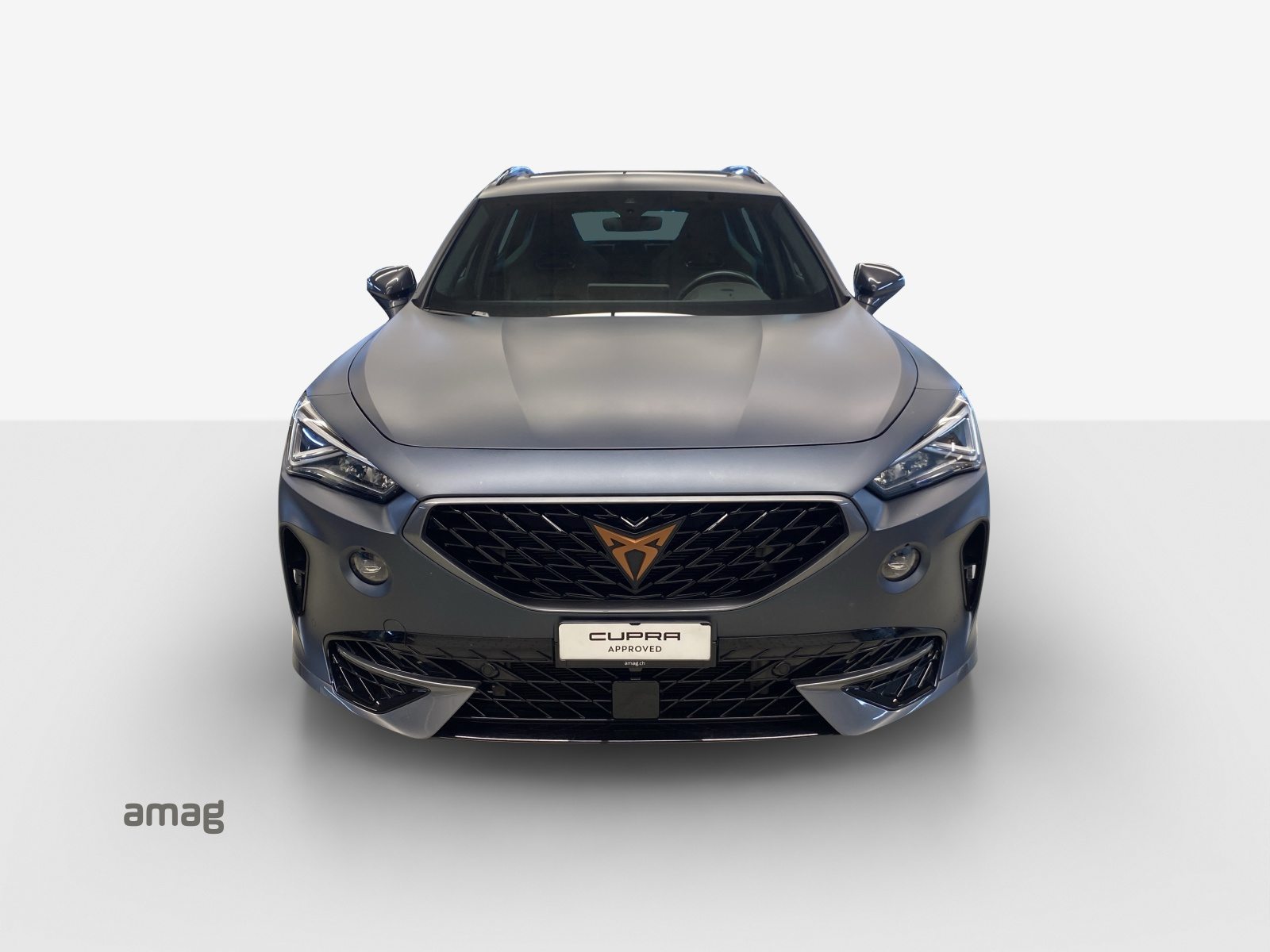 CUPRA FORMENTOR 4DRIVE, Benzina, Occasioni / Usate, Automatico - 7