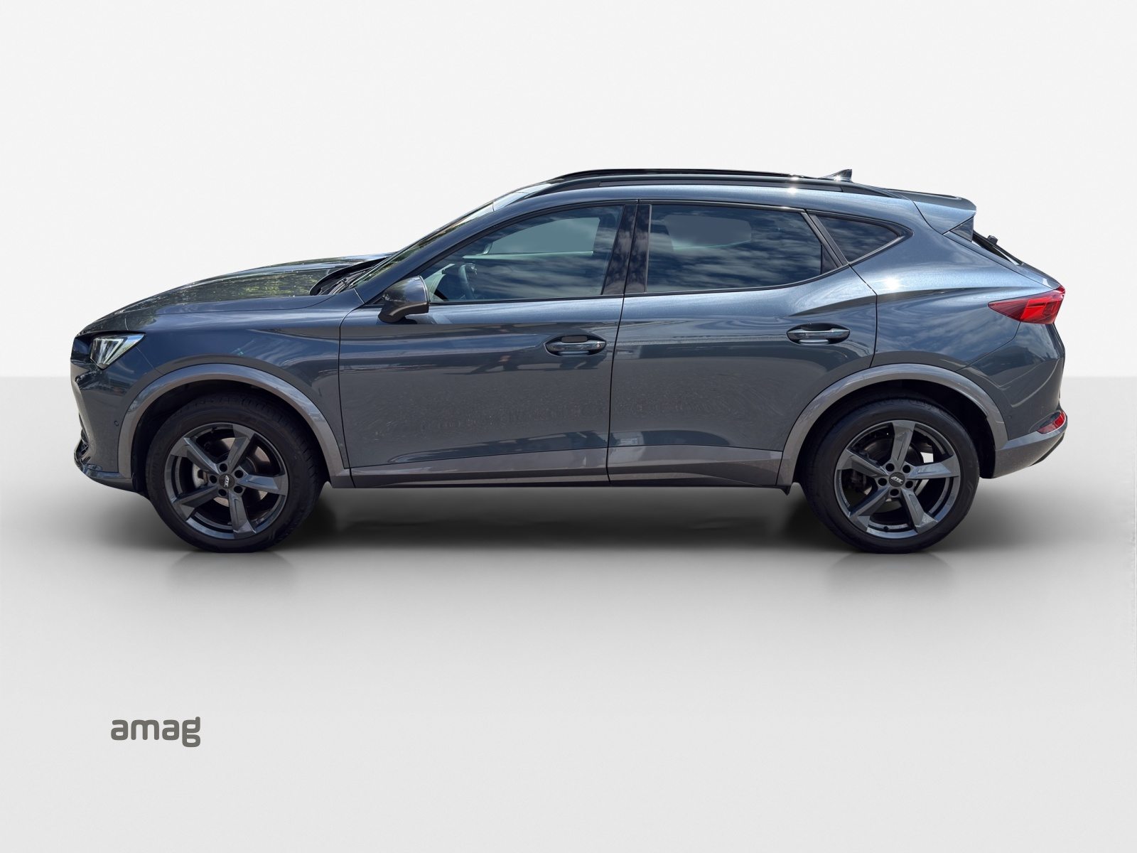 CUPRA FORMENTOR INICIO 4DRIVE (netto), Benzina, Occasioni / Usate, Automatico - 2