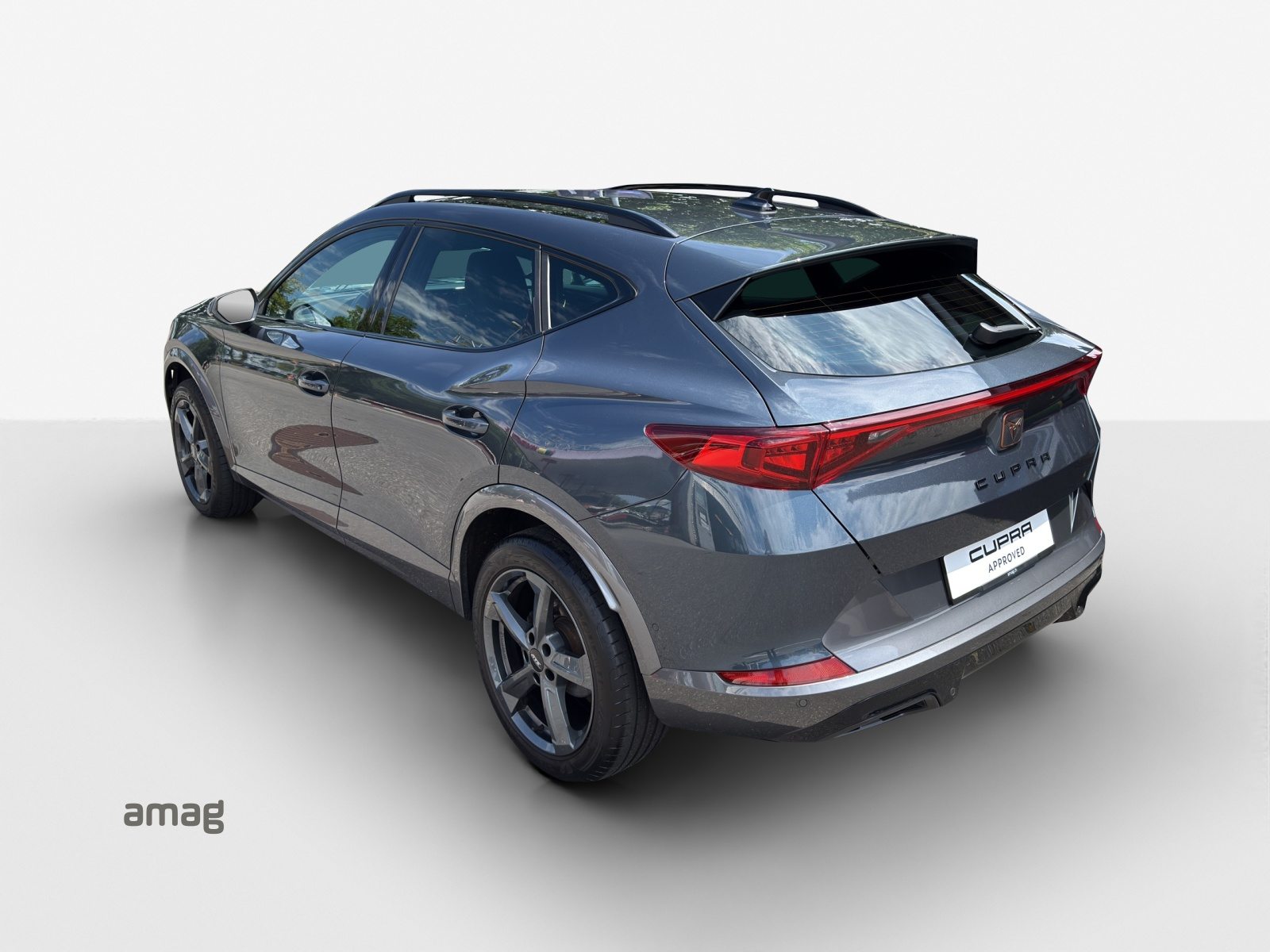 CUPRA FORMENTOR INICIO 4DRIVE (netto), Benzina, Occasioni / Usate, Automatico - 3