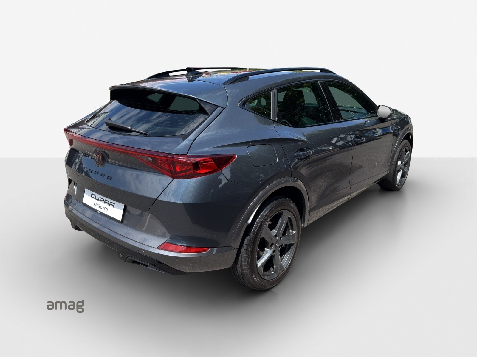 CUPRA FORMENTOR INICIO 4DRIVE (netto), Benzina, Occasioni / Usate, Automatico - 5