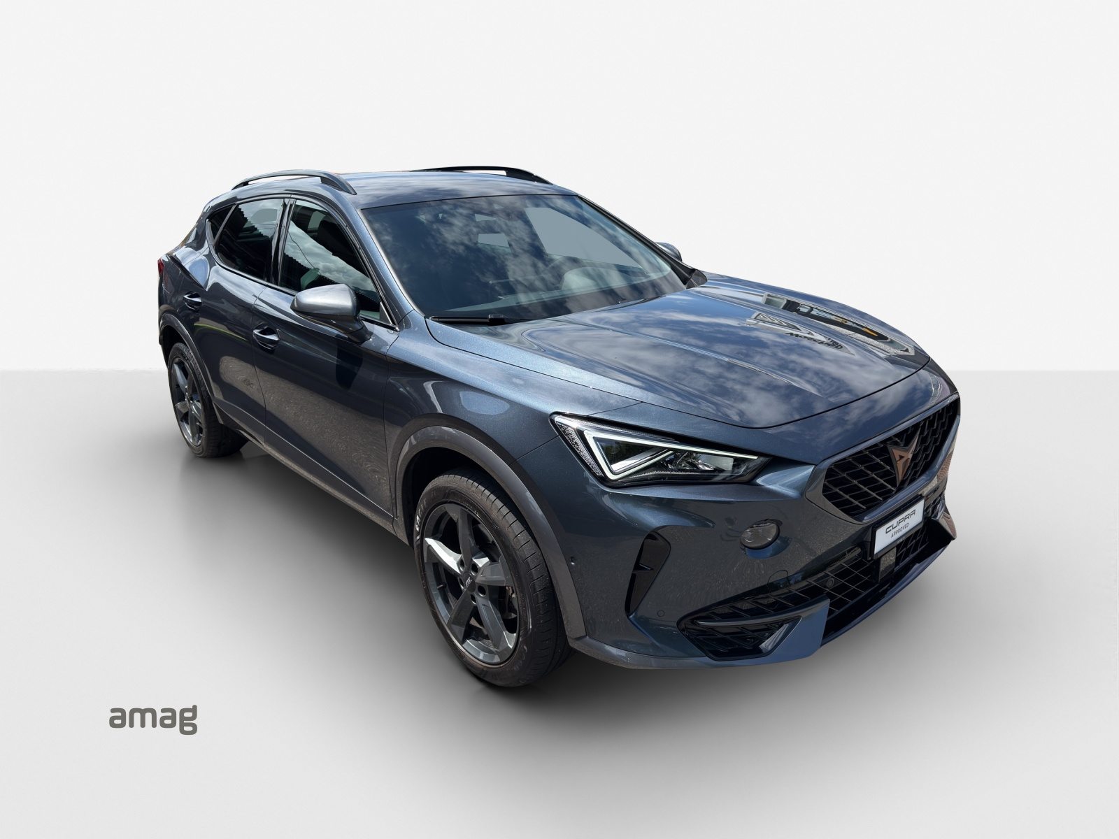 CUPRA FORMENTOR INICIO 4DRIVE (netto), Benzina, Occasioni / Usate, Automatico - 6