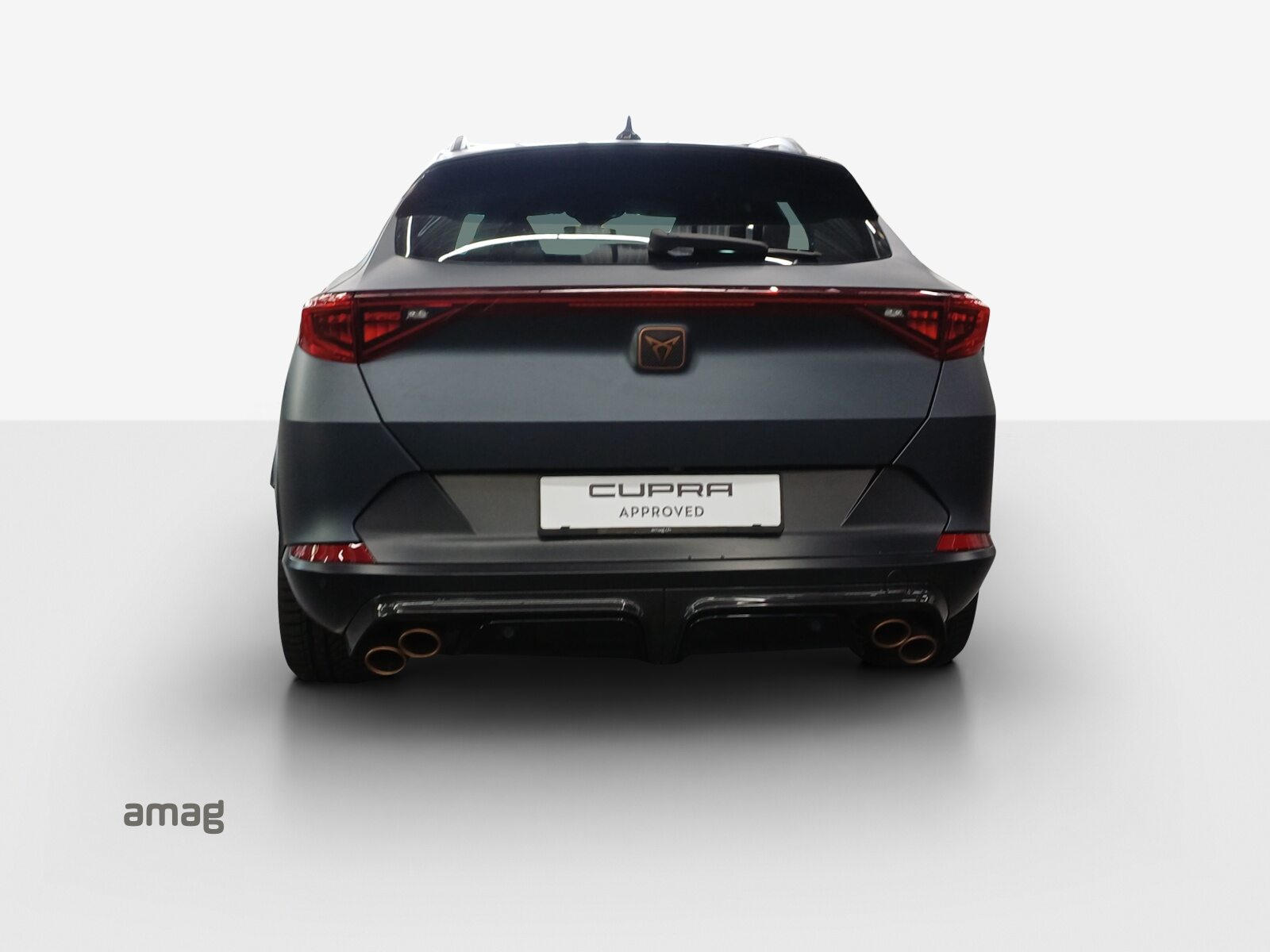 CUPRA FORMENTOR VZ5 4DRIVE, Benzina, Occasioni / Usate, Automatico - 4