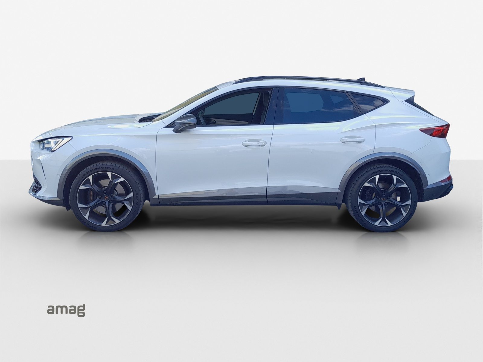 CUPRA FORMENTOR 4DRIVE, Benzina, Occasioni / Usate, Automatico - 2