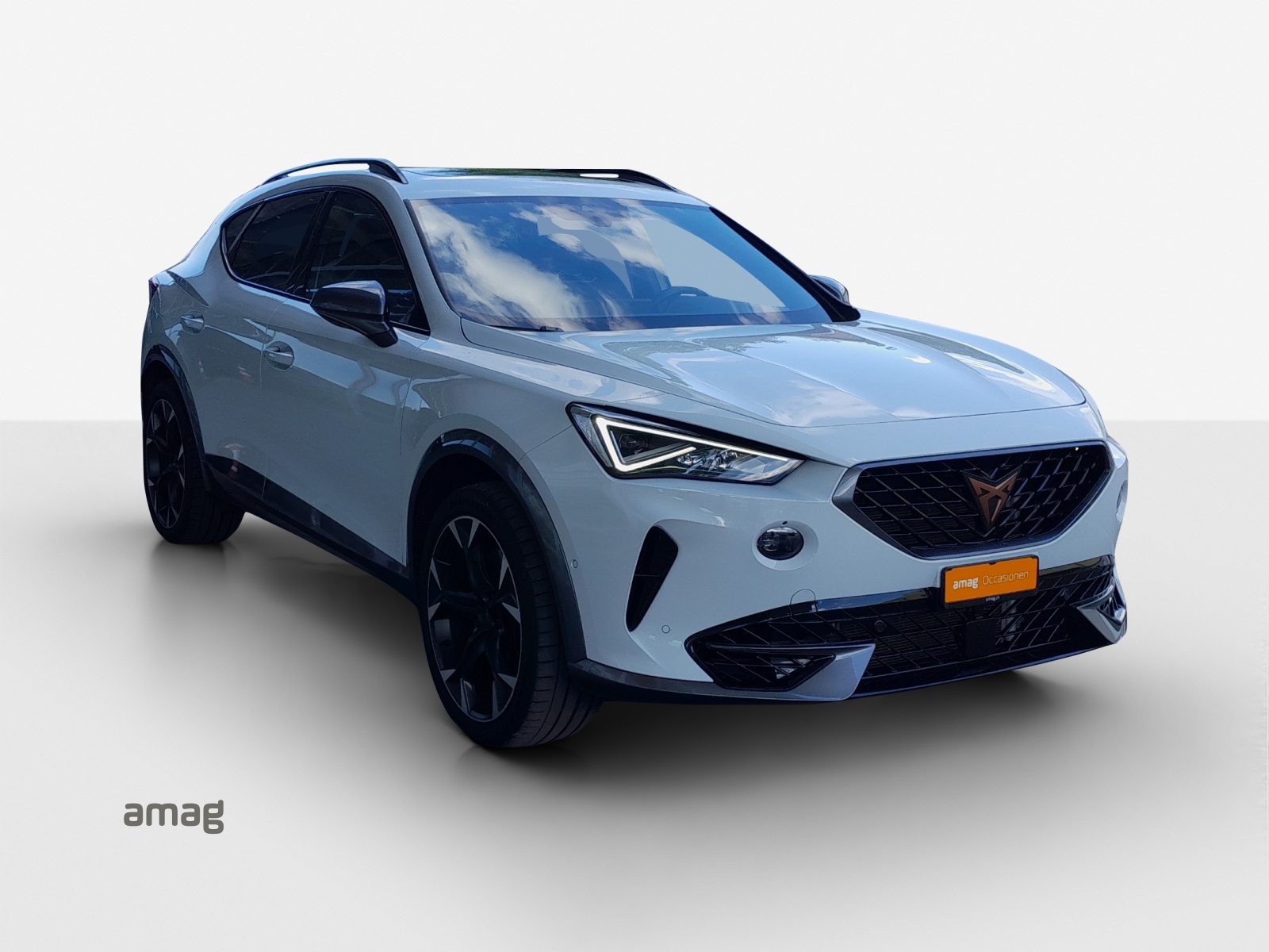 CUPRA FORMENTOR 4DRIVE, Benzina, Occasioni / Usate, Automatico - 6