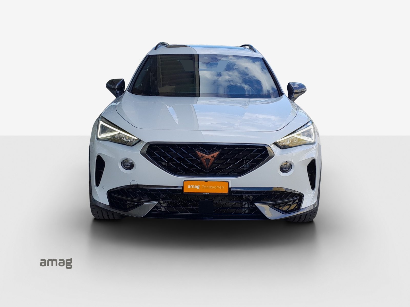 CUPRA FORMENTOR 4DRIVE, Benzina, Occasioni / Usate, Automatico - 7