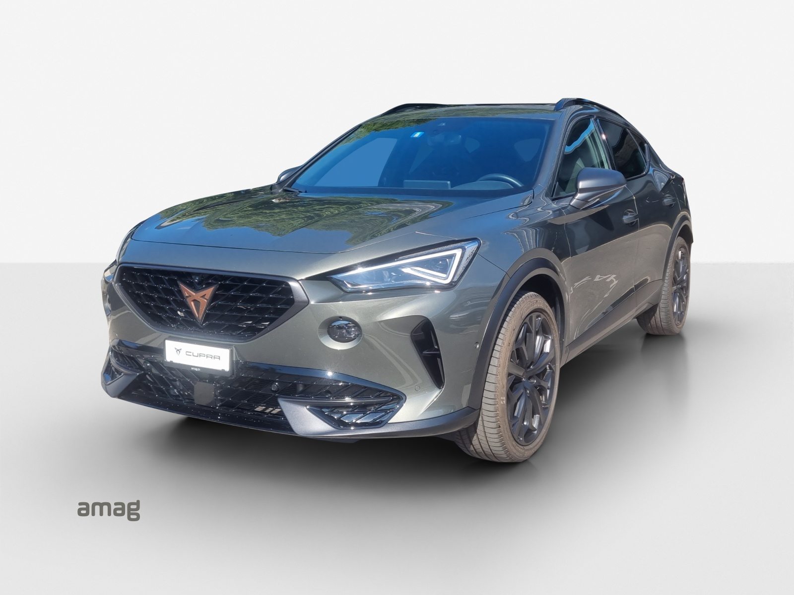 CUPRA FORMENTOR 2.0 TSI 245PS TRIBE EDITION (netto)