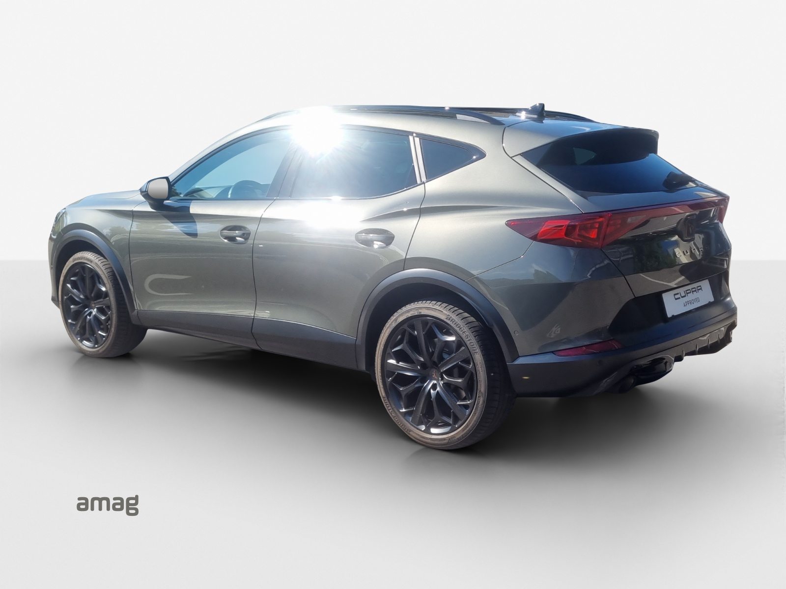 CUPRA FORMENTOR 2.0 TSI 245PS TRIBE EDITION (netto), Benzina, Occasioni / Usate, Automatico - 3