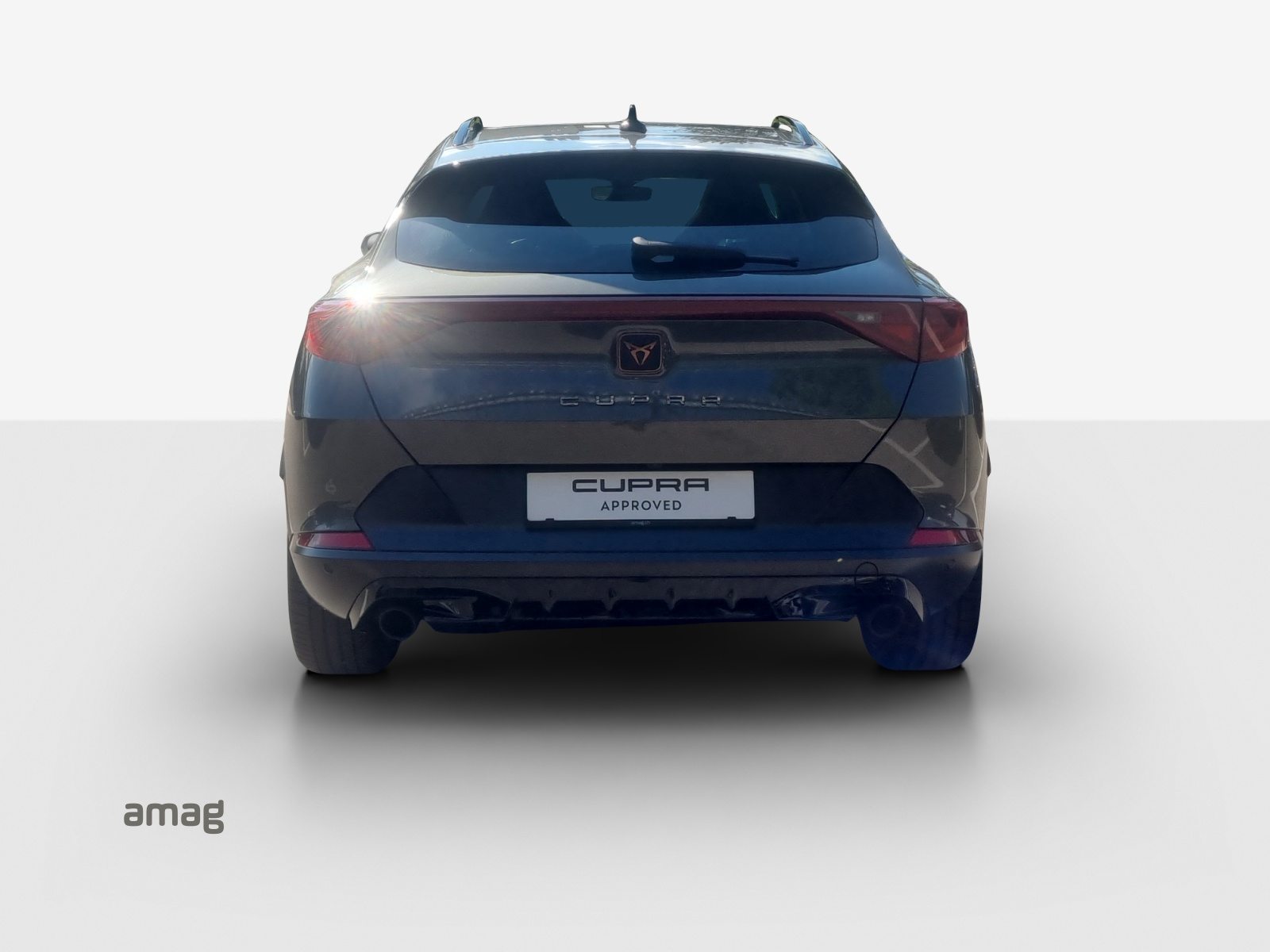 CUPRA FORMENTOR 2.0 TSI 245PS TRIBE EDITION (netto), Benzina, Occasioni / Usate, Automatico - 4