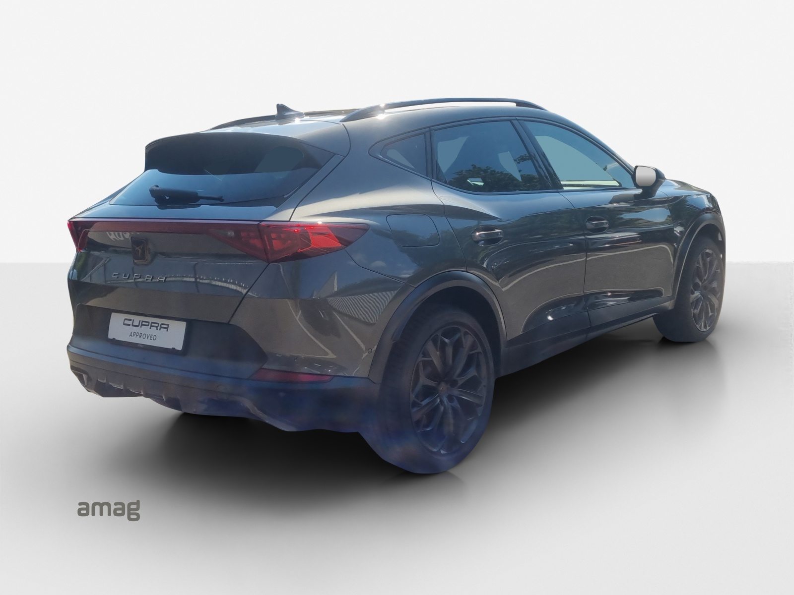 CUPRA FORMENTOR 2.0 TSI 245PS TRIBE EDITION (netto), Benzina, Occasioni / Usate, Automatico - 5