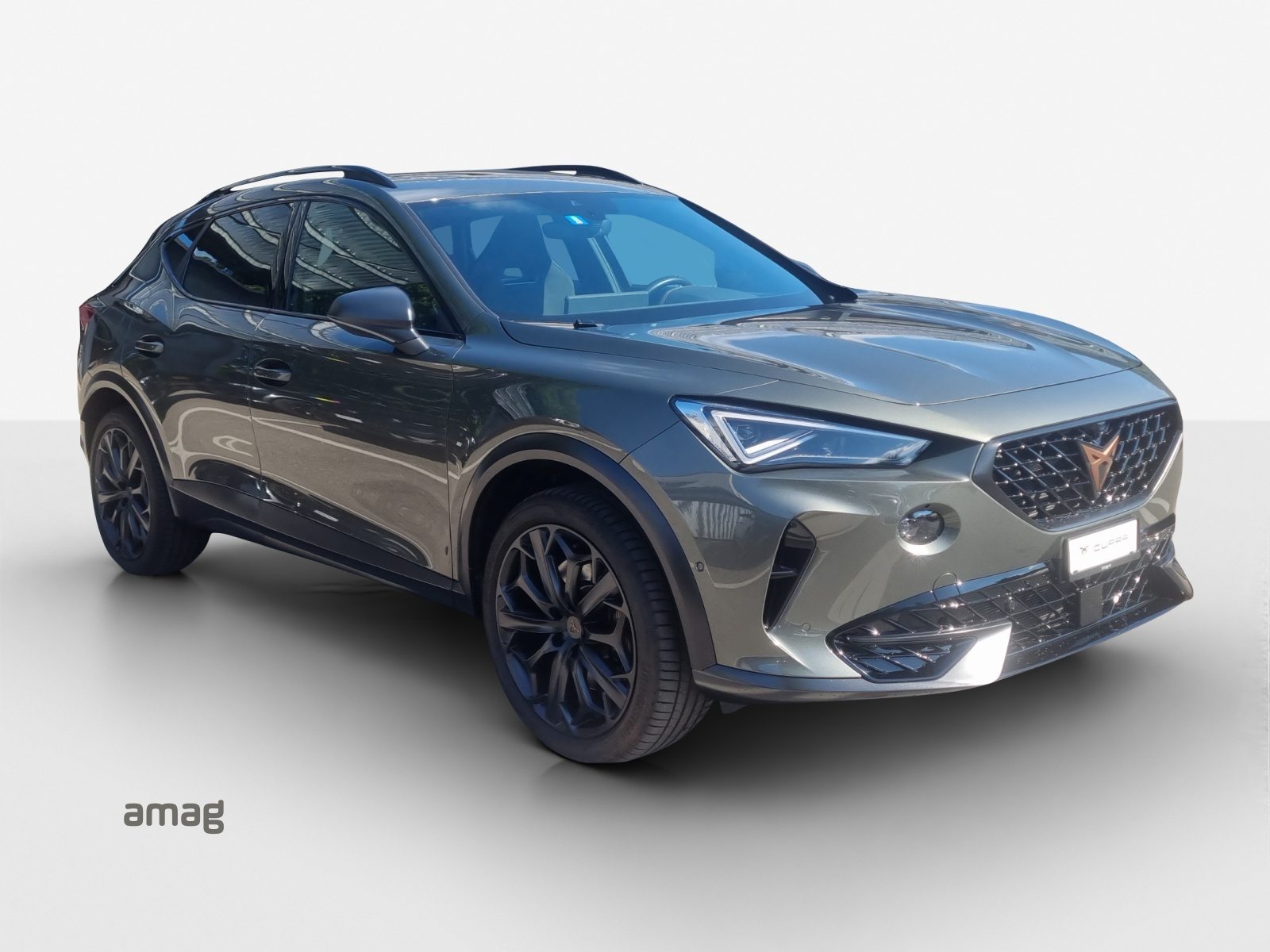 CUPRA FORMENTOR 2.0 TSI 245PS TRIBE EDITION (netto), Benzina, Occasioni / Usate, Automatico - 6