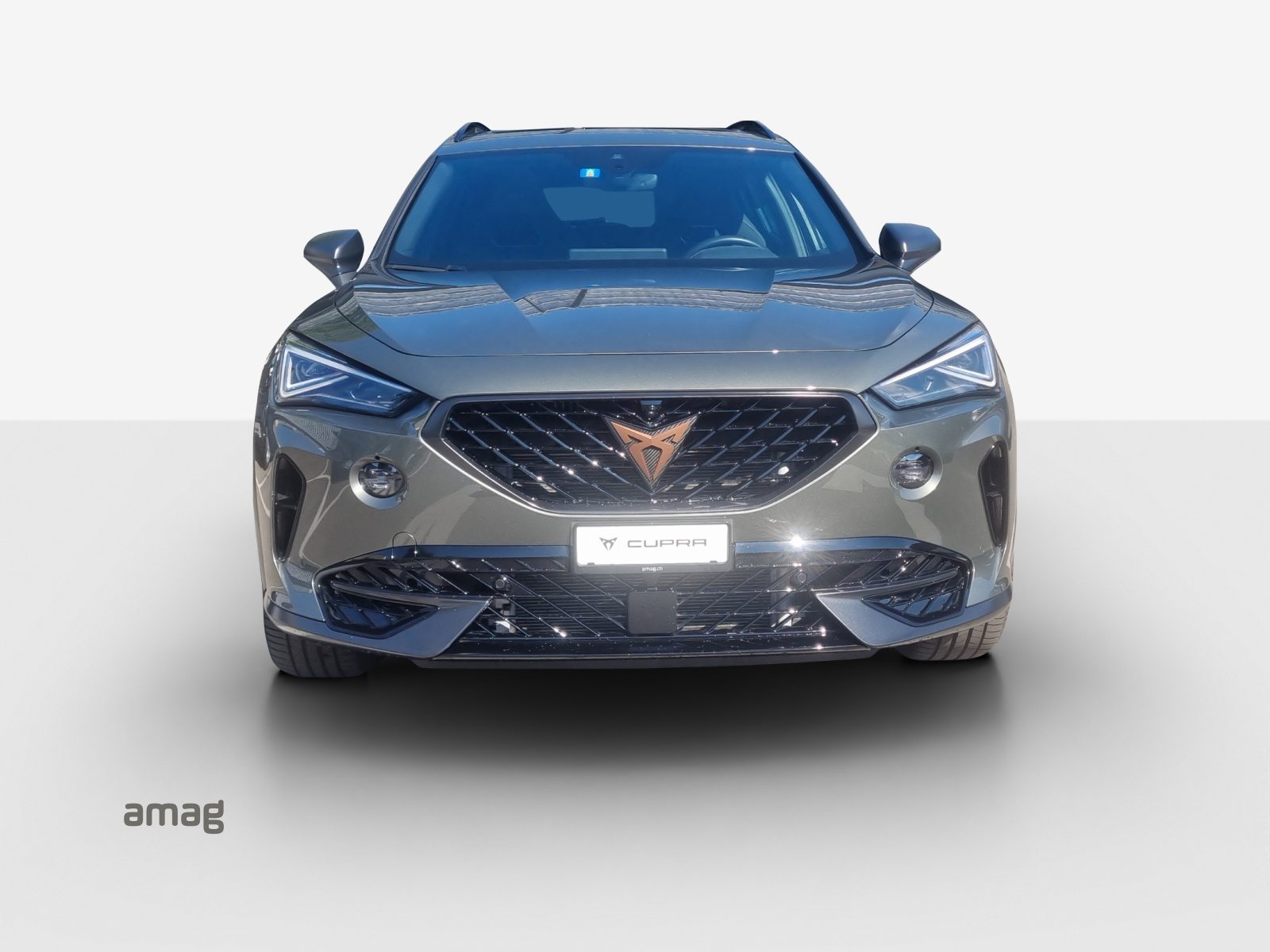 CUPRA FORMENTOR 2.0 TSI 245PS TRIBE EDITION (netto), Benzina, Occasioni / Usate, Automatico - 7